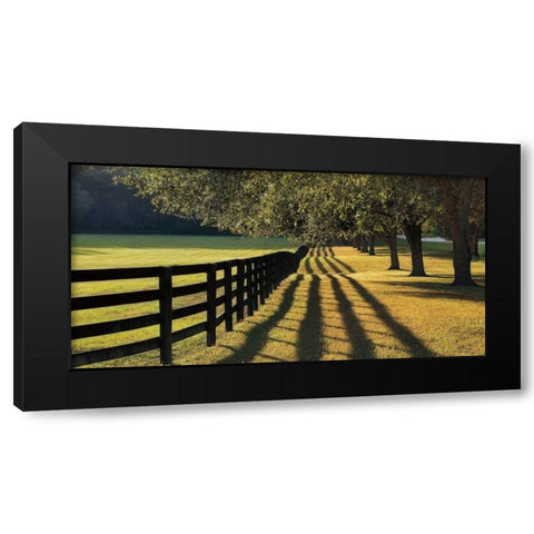 Chasing Shadows Black Modern Wood Framed Art Print by Jones, Mike