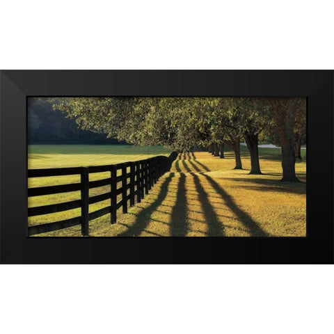 Chasing Shadows Black Modern Wood Framed Art Print by Jones, Mike