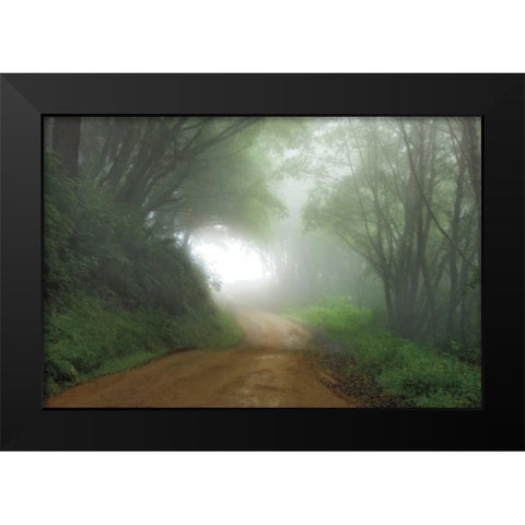 Road to Nowhere Black Modern Wood Framed Art Print by Jones, Mike