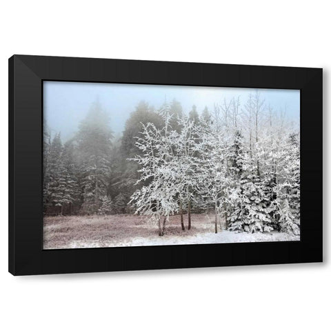 Frosty Morning Black Modern Wood Framed Art Print with Double Matting by Jones, Mike