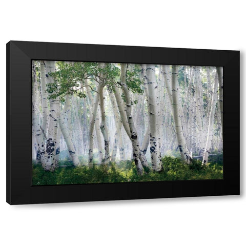 Up In The Clouds Black Modern Wood Framed Art Print with Double Matting by Jones, Mike