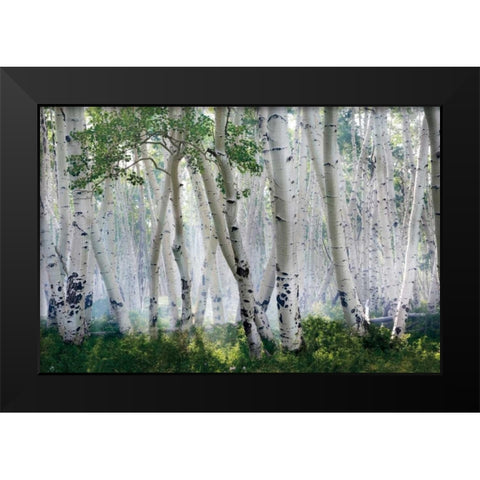 Up In The Clouds Black Modern Wood Framed Art Print by Jones, Mike