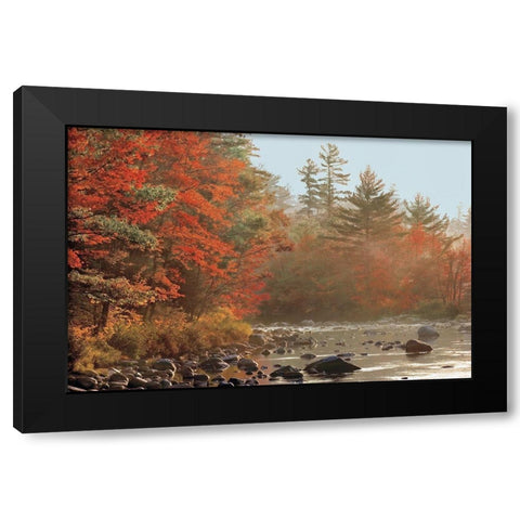 Foggy River Black Modern Wood Framed Art Print by Jones, Mike