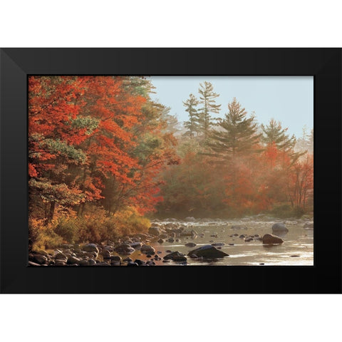 Foggy River Black Modern Wood Framed Art Print by Jones, Mike
