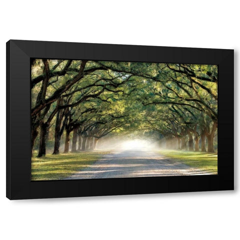 Hope and Glory Black Modern Wood Framed Art Print by Jones, Mike