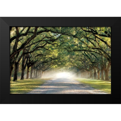 Hope and Glory Black Modern Wood Framed Art Print by Jones, Mike