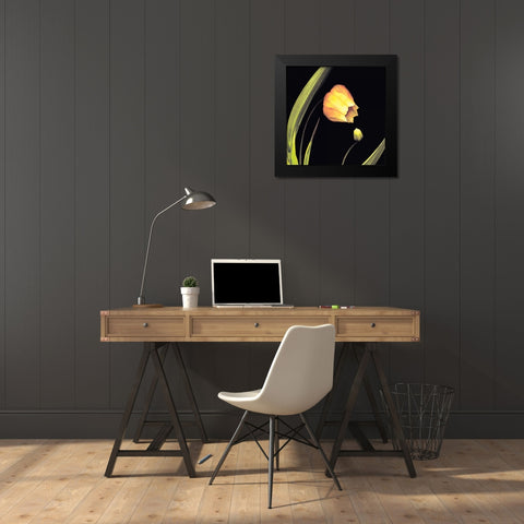 Japanese Lanterns Black Modern Wood Framed Art Print by Levine, Andrew
