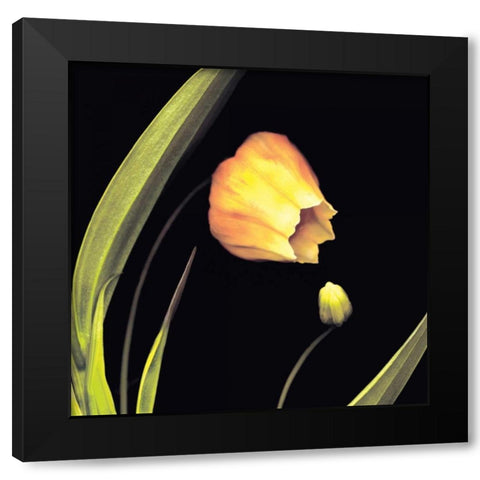 Japanese Lanterns Black Modern Wood Framed Art Print by Levine, Andrew