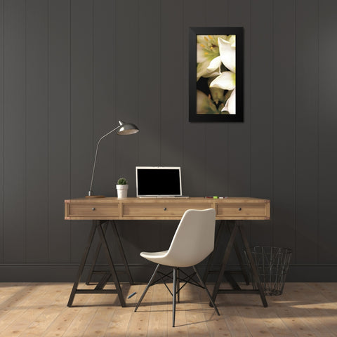 Star of Bethlehem Triptych Black Modern Wood Framed Art Print by Levine, Andrew