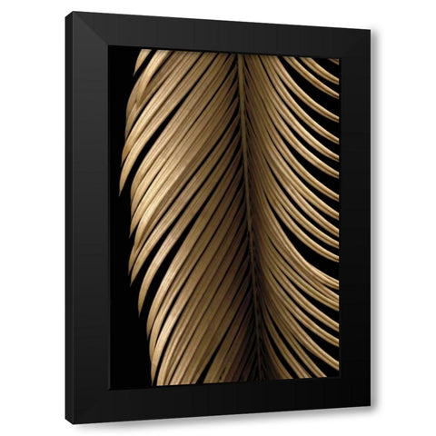 Tropical Leaf Study II Black Modern Wood Framed Art Print with Double Matting by Levine, Andrew