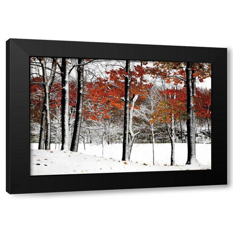 SnowFall Black Modern Wood Framed Art Print with Double Matting by Lieberman , Burney