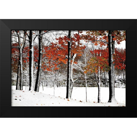 SnowFall Black Modern Wood Framed Art Print by Lieberman , Burney