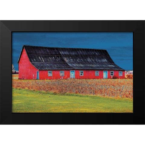 Big Red Black Modern Wood Framed Art Print by Lieberman , Burney