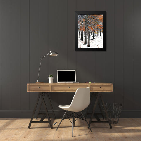 SnowFall II Black Modern Wood Framed Art Print by Lieberman , Burney