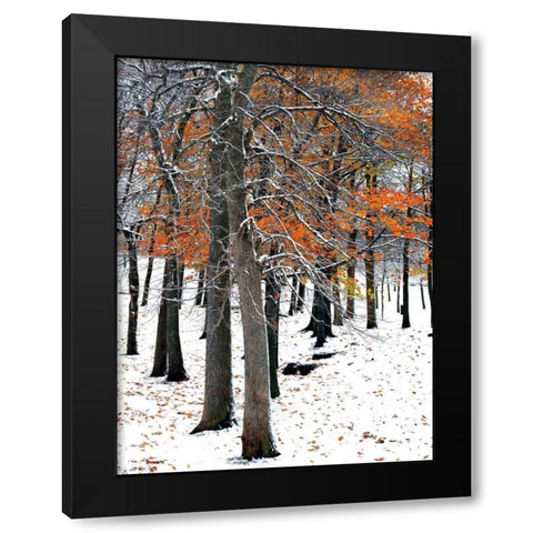 SnowFall II Black Modern Wood Framed Art Print with Double Matting by Lieberman , Burney