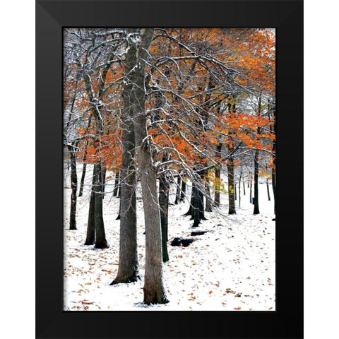 SnowFall II Black Modern Wood Framed Art Print by Lieberman , Burney