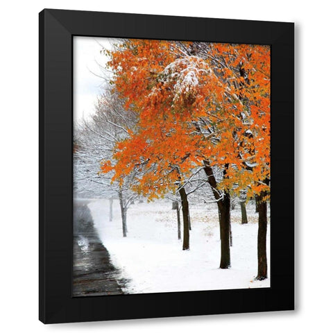 SnowFall III Black Modern Wood Framed Art Print by Lieberman , Burney