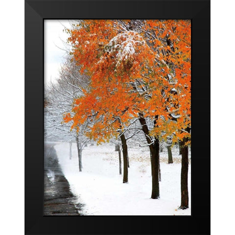 SnowFall III Black Modern Wood Framed Art Print by Lieberman , Burney
