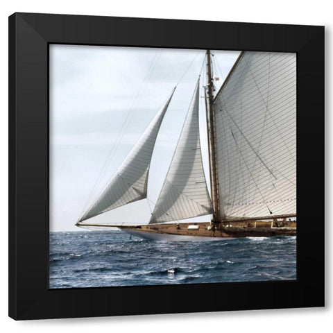 Sailing South Black Modern Wood Framed Art Print with Double Matting by Llovet, Jorge