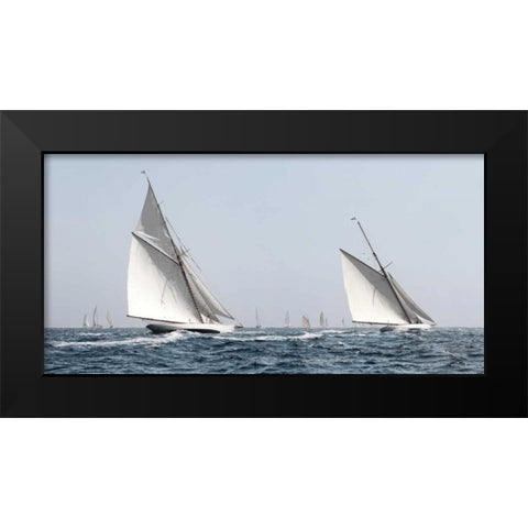 Sailing South  Black Modern Wood Framed Art Print by Llovet, Jorge