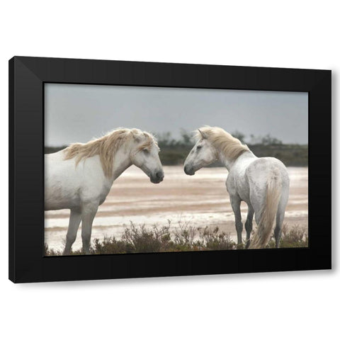 Friendship Black Modern Wood Framed Art Print with Double Matting by Llovet, Jorge