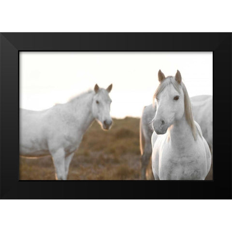 Havent Met You Yet Black Modern Wood Framed Art Print by Llovet, Jorge