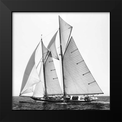 Adrift II Black Modern Wood Framed Art Print by Llovet, Jorge