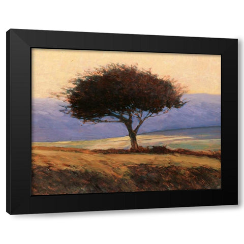 Cloondaff Black Modern Wood Framed Art Print by Lovelace, Kent