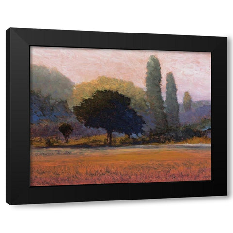 Campana Black Modern Wood Framed Art Print with Double Matting by Lovelace, Kent