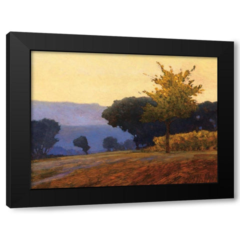 Meadow Black Modern Wood Framed Art Print with Double Matting by Lovelace, Kent