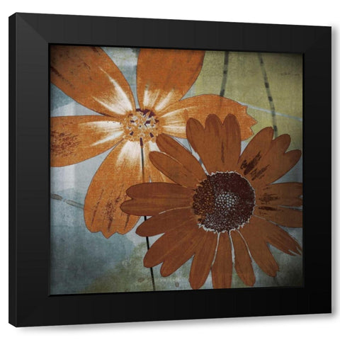 In the Cosmos Black Modern Wood Framed Art Print with Double Matting by Lacie, Robert