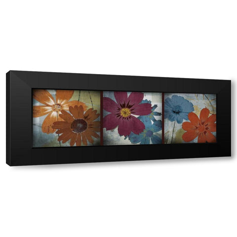 In the Cosmos Black Modern Wood Framed Art Print by Robert, Lacie