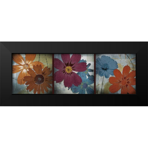 In the Cosmos Black Modern Wood Framed Art Print by Robert, Lacie