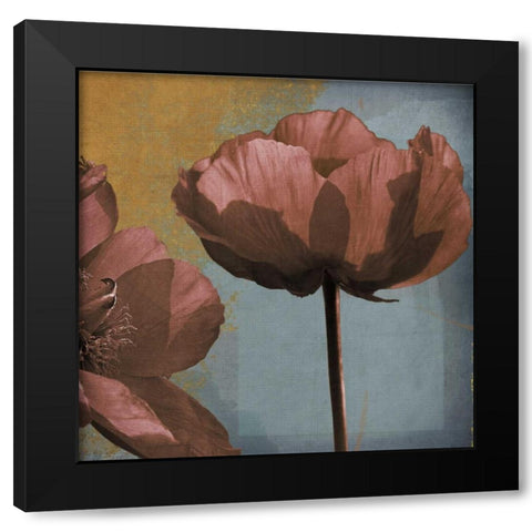 Blooming Jewels Black Modern Wood Framed Art Print by Lacie, Robert