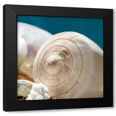 Shell Quartet Black Modern Wood Framed Art Print by Marie, Dina