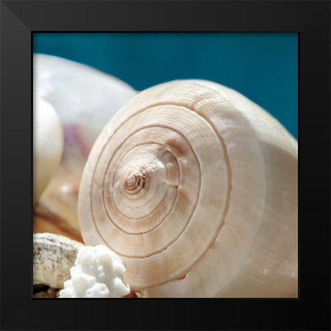 Shell Quartet Black Modern Wood Framed Art Print by Marie, Dina