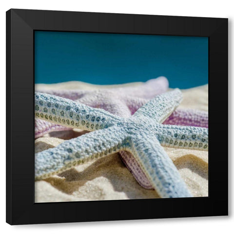 Color Full Black Modern Wood Framed Art Print by Marie, Dina