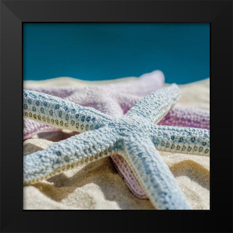 Color Full Black Modern Wood Framed Art Print by Marie, Dina