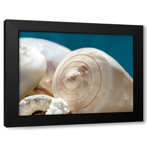 Shell Quartet Black Modern Wood Framed Art Print by Marie, Dina