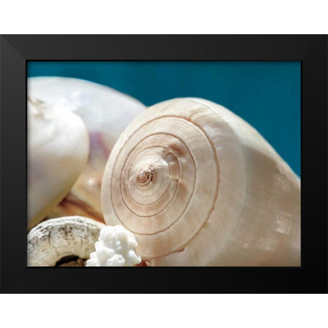 Shell Quartet Black Modern Wood Framed Art Print by Marie, Dina