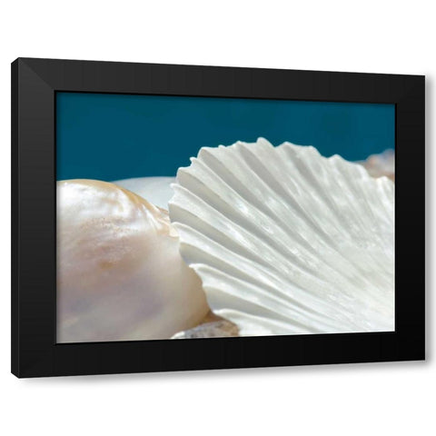 Fantastic Black Modern Wood Framed Art Print with Double Matting by Marie, Dina