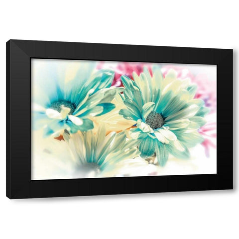 Colored Stars Black Modern Wood Framed Art Print with Double Matting by Marie, Dina