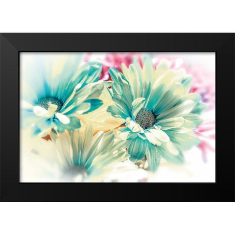 Colored Stars Black Modern Wood Framed Art Print by Marie, Dina