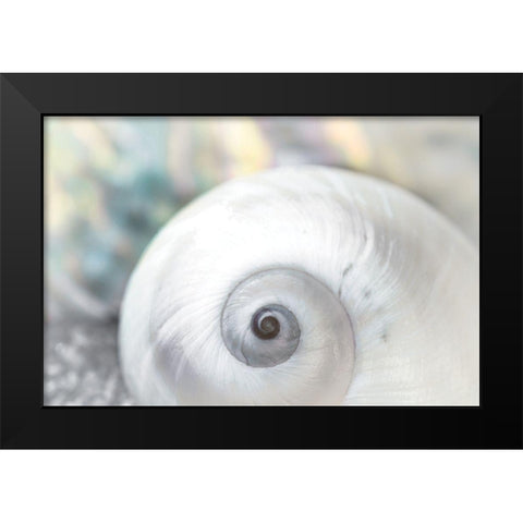 Pearl Lite Seashell Black Modern Wood Framed Art Print by Marie, Dina