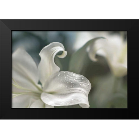 Charmed Black Modern Wood Framed Art Print by Marie, Dina