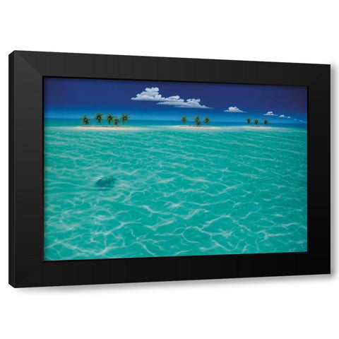 Turtle Crossing Black Modern Wood Framed Art Print by Mackin, Dan