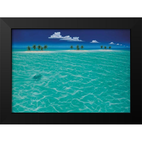 Turtle Crossing Black Modern Wood Framed Art Print by Mackin, Dan