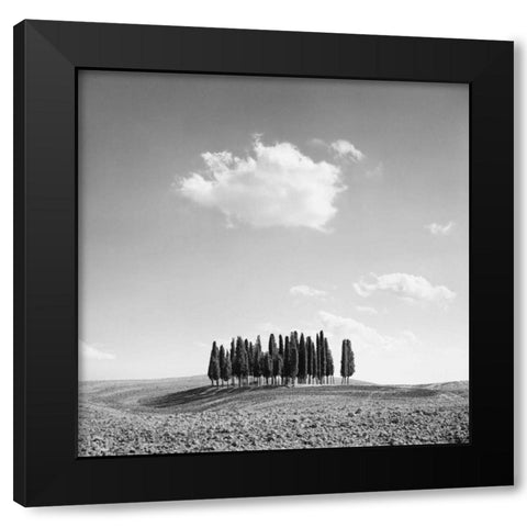 Cypress Trees Black Modern Wood Framed Art Print by Miele, Jean