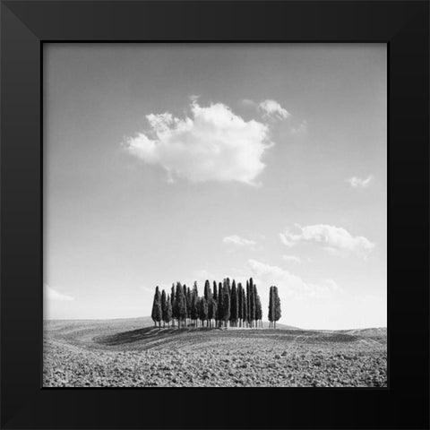 Cypress Trees Black Modern Wood Framed Art Print by Miele, Jean