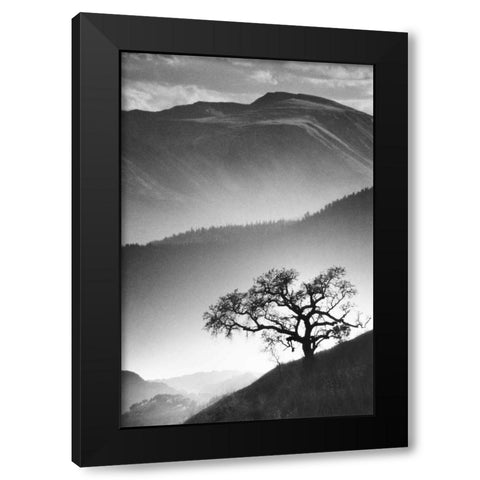 Black Oak Black Modern Wood Framed Art Print with Double Matting by Miele, Jean